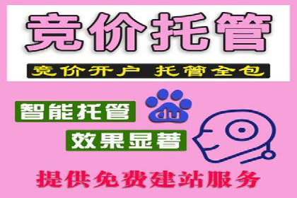 竞价端口开户成功助力企业增长